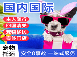 漠河机场快运国际宠物托运 【国